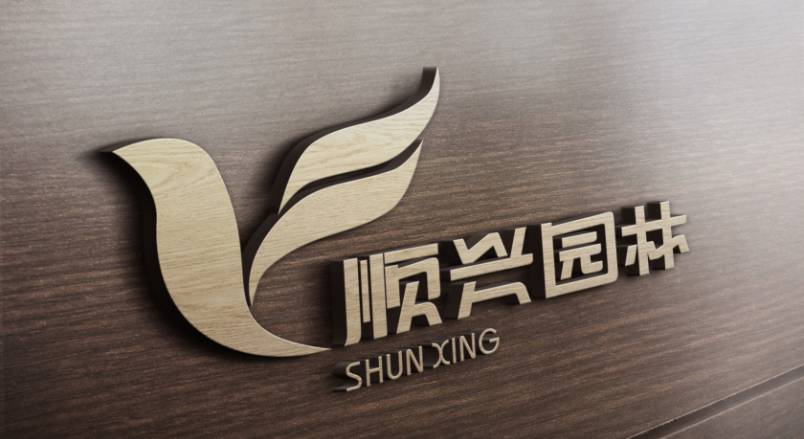 川汇区VI设计：城市品牌蝶变的核心引擎